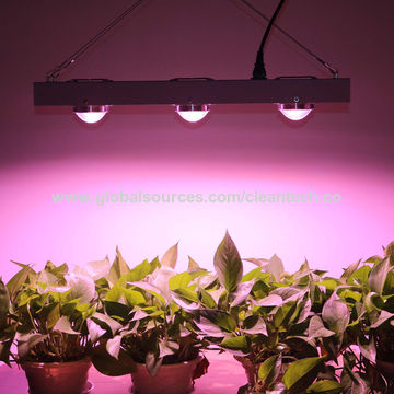 Buy Wholesale 200w Led Grow Light Greenhouse Grow Cob Horticulture Light For Indoor Plant Full Spe & Led Grow Light at USD 69 | Global Sources