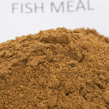 fish meal feed