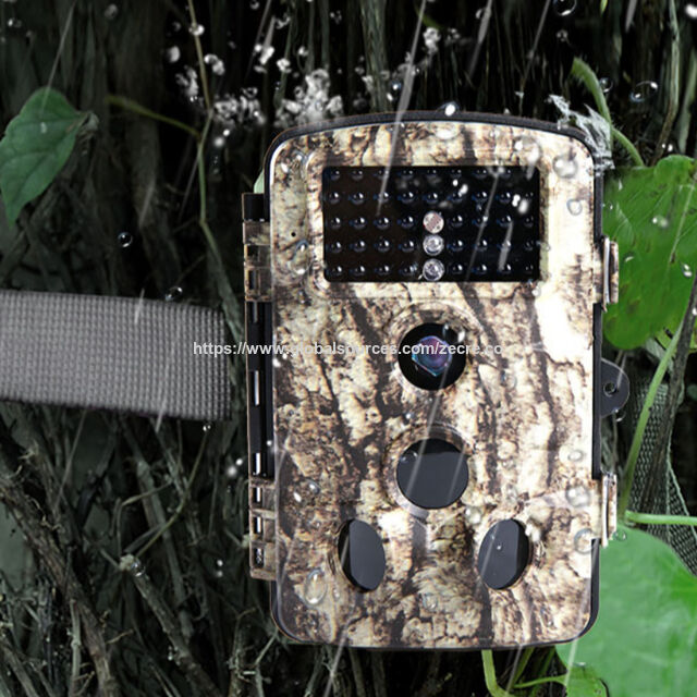 Caméra de Surveillance Animalière 1080P 12MP avec Écran LCD 2.4'' et 42 LEDs IR 940NM pour Vision Nocturne Claire for sale at factory direct price