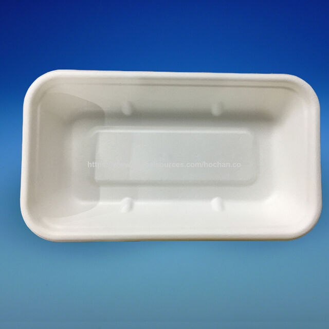Barquette Biodégradable / Compostable en Bagasse 23x13cm (9"*5"), 20g