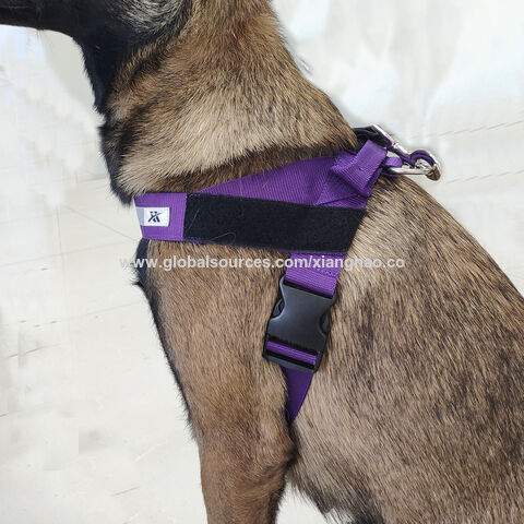 dog harness designs