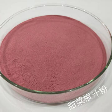 Polvo de Extracto de Beetroot Natural jugo de remolacha en polvo de  Beetroot rojo - China Polvo de raíz de remolacha, polvo de raíz de remolacha  roja