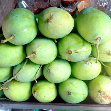 Buy Wholesale Thailand Mango Kaeo Kamin, Green Skin But Sweet Inside ...