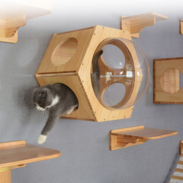 Cat clearance house accessories