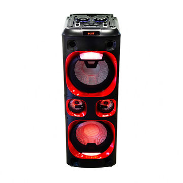 double 12 speaker