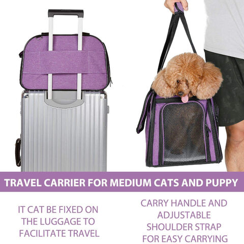 dog suitcase carrier