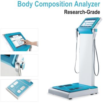 Body Composition Analyzer Health Analyzer Body Fat Monitor with Printer -  China Body Composition Analyzer, Gym Equipment