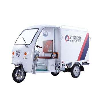 Electric cargo trike online for sale