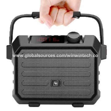 Portable Pa Speaker System 