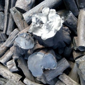 Coffee charcoal with high heat for BBQ and Hookah shisha for sale at factory direct price