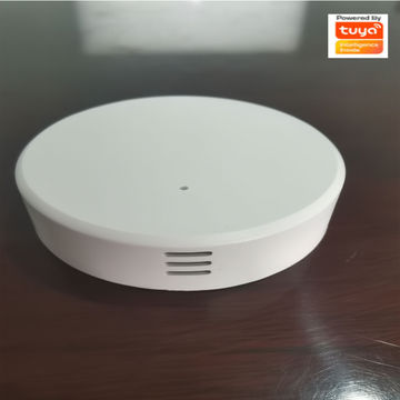 Buy Wholesale China Smart Bluetooth Temperature/humidity Sensor