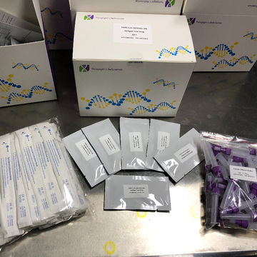 Buy Wholesale China Antigen Rapid Test Cassette(swab) Test Kit & Rapid ...