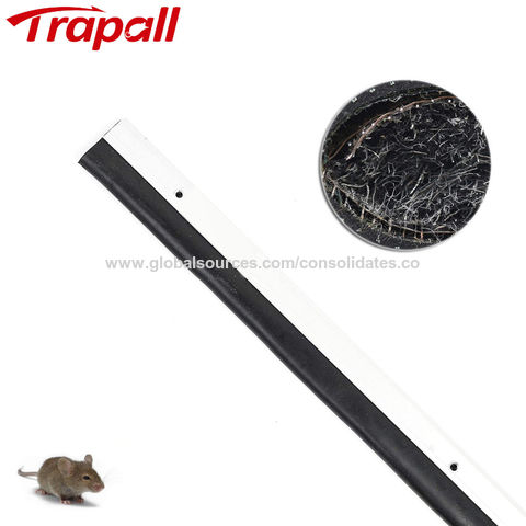 https://p.globalsources.com/IMAGES/PDT/B1180826307/Mouse-Rodent-Proof-Door-Sweep.jpg