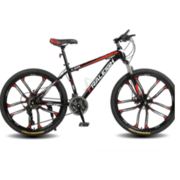 Raleigh discount cycle price