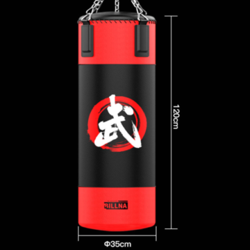 billna punching bag