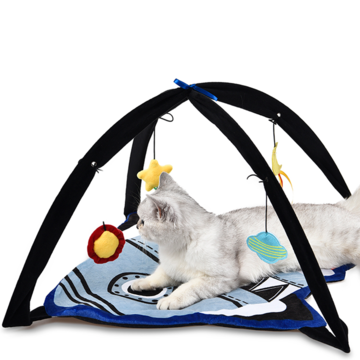 DIY Cat Activity Play Mat 