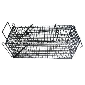 Live Rodent Trap (Mouse) Wire Cage