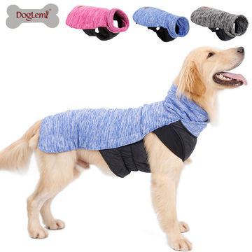 luxury dog clothing