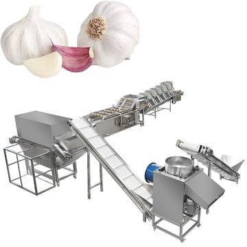 Industrial Garlic Peeling Processing Plant Factory