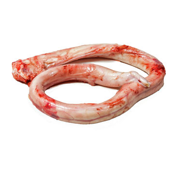 Buy Germany Wholesale Frozen Beef Pizzle Frozen Beef Pizzle