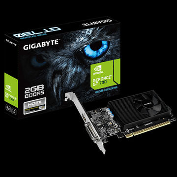 Gigabyte GeForce GT 730 2GB Graphic Cards GV-N730D5-2GL