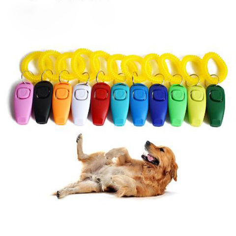 dog training supplies wholesale