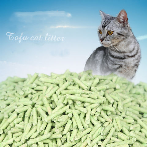 tofu cat sand
