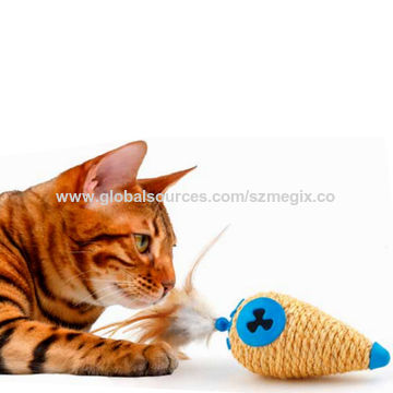 active cat toys