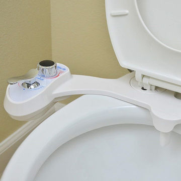 Remplacement de votre bide avec un robinet de toilettes