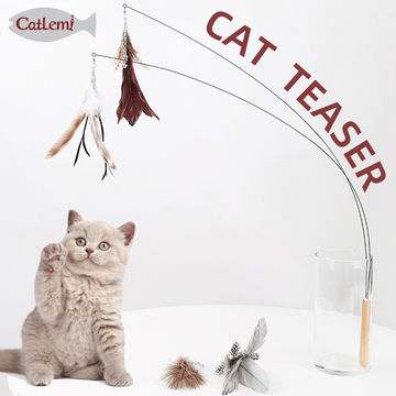 cat dangler toys