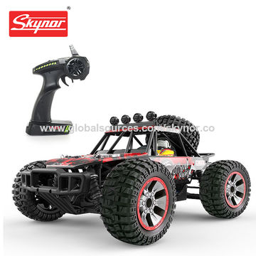 professional rc cars for sale