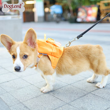 Small dog saddle online bags