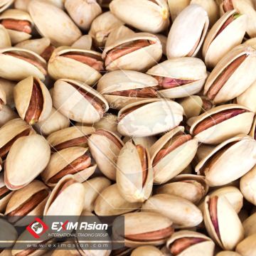 Pistacho del pistacho de Permium del iraní, crudo y salado, asiático de EXIM