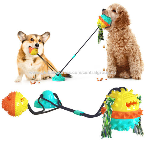 dog ball on string