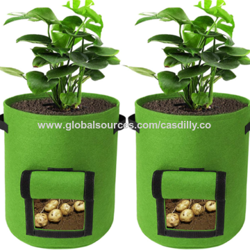 https://p.globalsources.com/IMAGES/PDT/B1183307322/Plant-grow-bags-Grow-Bags.png