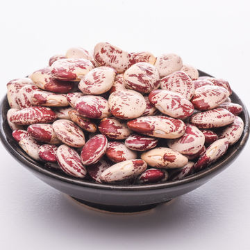 Buy Sadaf Light Red Kidney Beans 24 oz. -  –