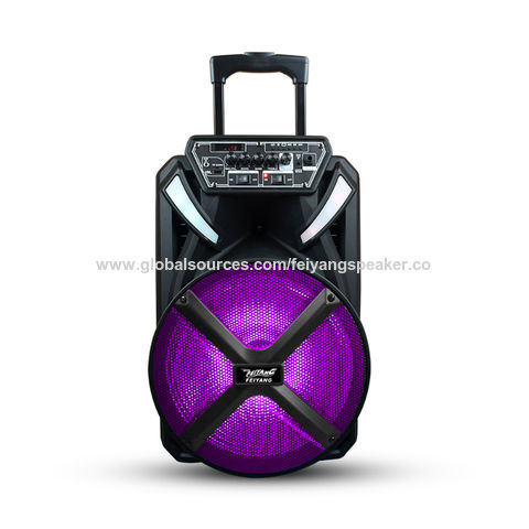 China Feiyang Home Audio Subwoofer 