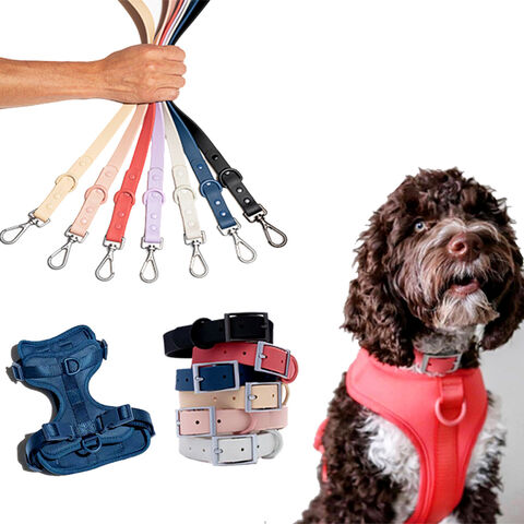 silicone dog lead