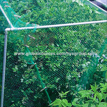 Green Wall Net For Plants_Wire Mesh Fence, Wind Break Fence