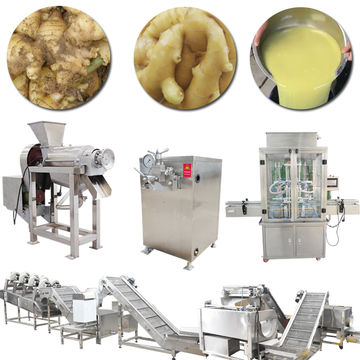 500kg/h extracteur de jus de fruits en acier inoxydable pour les