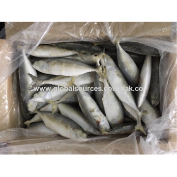 mackerel fish for sale near me