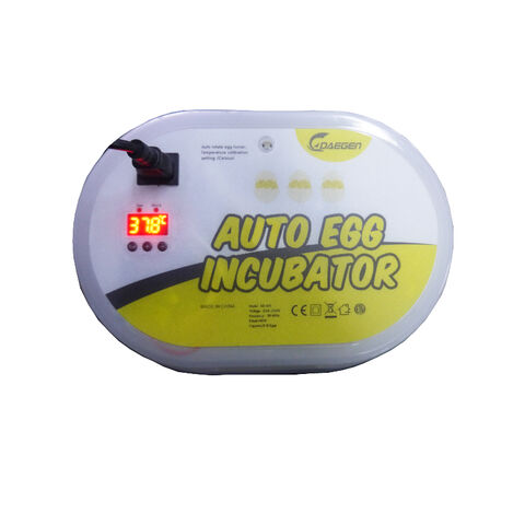 Buy Wholesale China Mini Household Egg Incubator Candler Bright Lighter To  Check The Egg Status With Battery Inside & Egg Candler at USD 6