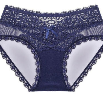 Women's Lace Briefs Sexy See Through Panties - Explore China Wholesale  Women's Lace Briefs and Ladies Lace Briefs, Female Lace Briefs, Ladies Lace  Panties