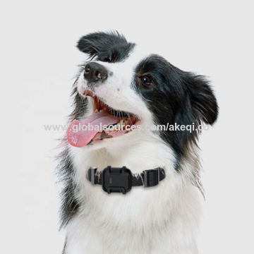 Buy Wholesale China New 4g Accurate Real Time Pet Tracker Gps Locate ...