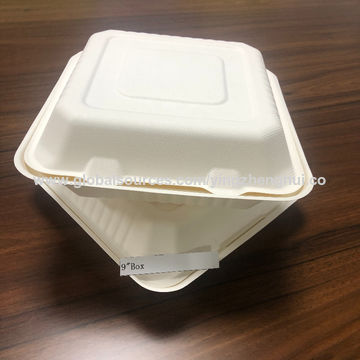 https://p.globalsources.com/IMAGES/PDT/B1184283249/bagasse-lunch-box.jpg