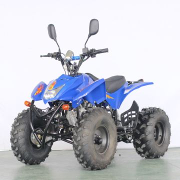 Buy Wholesale United States Polaris Quad 125cc Atv For Sale & Automatic ...