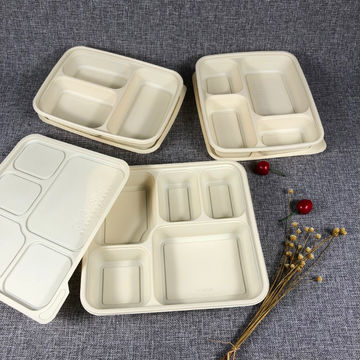 Biodegradable Disposable Custom Meal Snack Lunch Containers