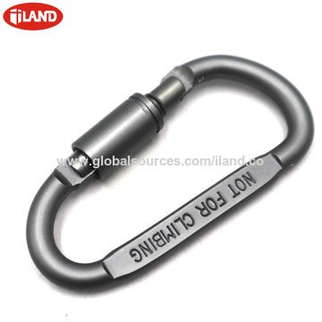 Carabiner Clips D Shape Spring-Loaded Gate Aluminum Key Chain Clip - China  Customized and Aluminum D-Ring Spring Gate Small Key Chain price