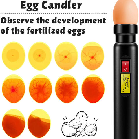 Buy Wholesale Newest Led Egg Candler Egg Egg Torch With Cool Light To Check The Egg Status Silicone Head & Egg Candler Tester at USD 10 | Global Sources