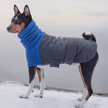 Luxury Designer Dog Clothes Pet Winter Sweater Leopard Print Style Dog  Fashion Pet Clothes - China Pet Clothes and Dog Hoodie Pet Clothes price